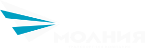 Логотип ТК Молния